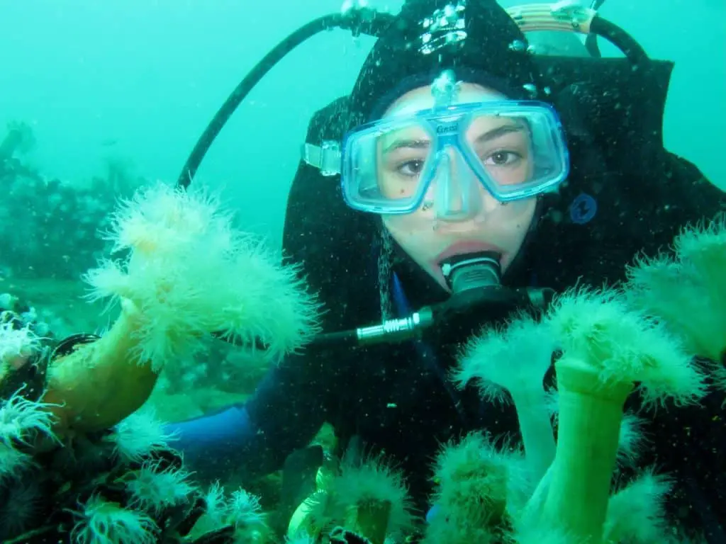 argentina scuba diving