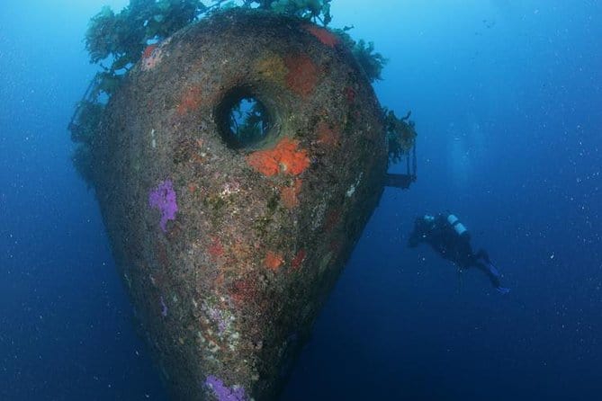 Scuba Diving in New Zealand: the Wrecks of Waikato and Rainbow Warrior