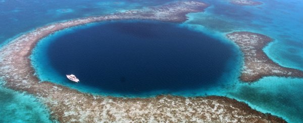 To give you a glimpse of how big the great blue hole Belize scuba diving: if you descend at the central portion of the blue hole, the feeling is similar to diving offshore in open water as you cannot see any part of the blue hole's wall even if visibility is at its crystal state.