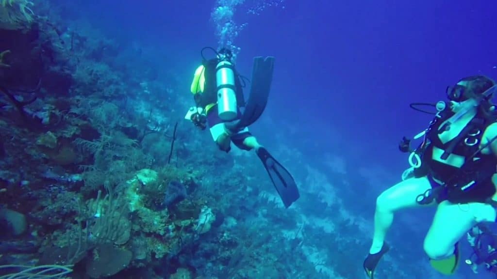 Rendezvous Cut - Belize Scuba Diving