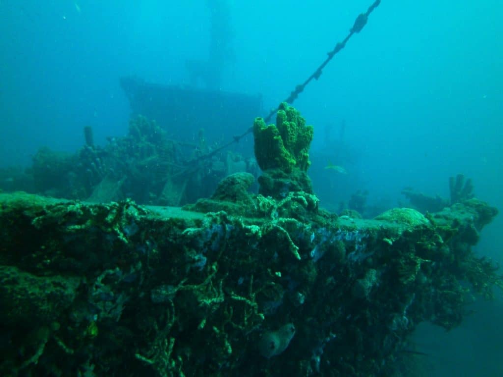 Le Franjack (The Franjack) is a 50 meter (164 feet) long sand transporter that was purposely sunk to become an artificial reef. 