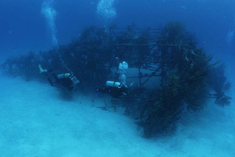 Vulcan Bomber Wreck in Bahamas