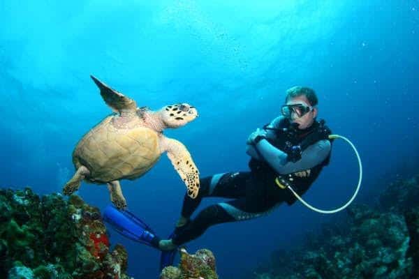 Scuba diving La Piscine (The Pool): a shallow dive site that can be enjoyed by newbie divers