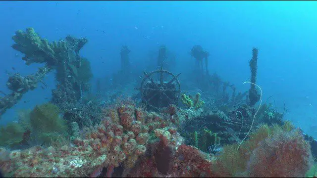 Diving the Formerly named Quinette de Richemond, the Nahoon wreck.